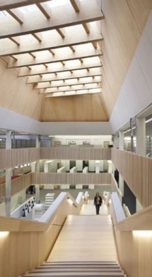 TIMBER_FACES_THE_HEAT_OF_COMBUSTIBLES_BAN_5