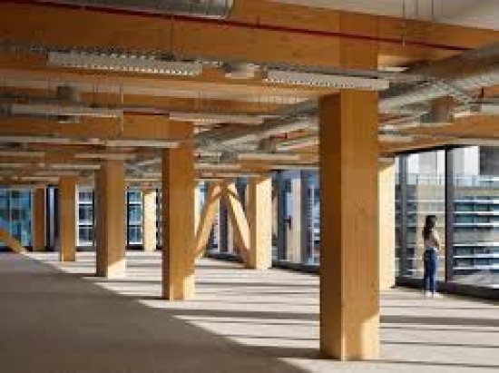 TIMBER_FACES_THE_HEAT_OF_COMBUSTIBLES_BAN_4